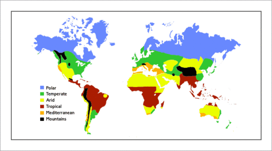 Simple World Map With Country Names. World Map Countries. world