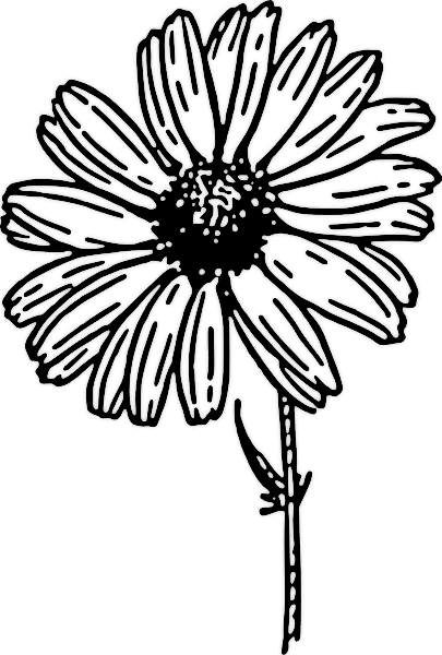 Daisy+flower+clip+art+free