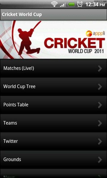 world cup 2011 final. world cup cricket 2011 final