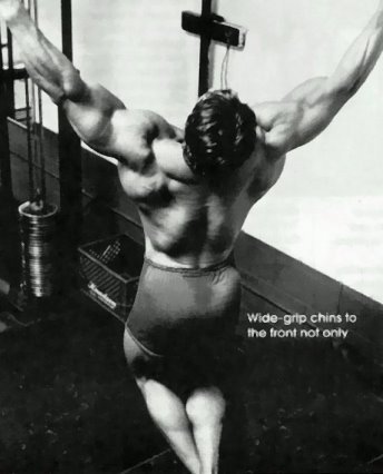 30-arnold-schwarzenegger-dorsal-chin.jpg