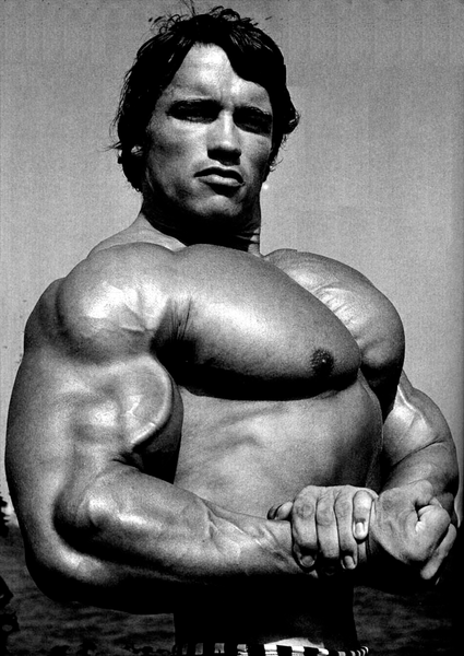arnold-schwarzenegger-bodybuilding-8.png