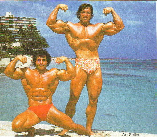 Arnold_2BSchwarzenegger_2B03.jpg
