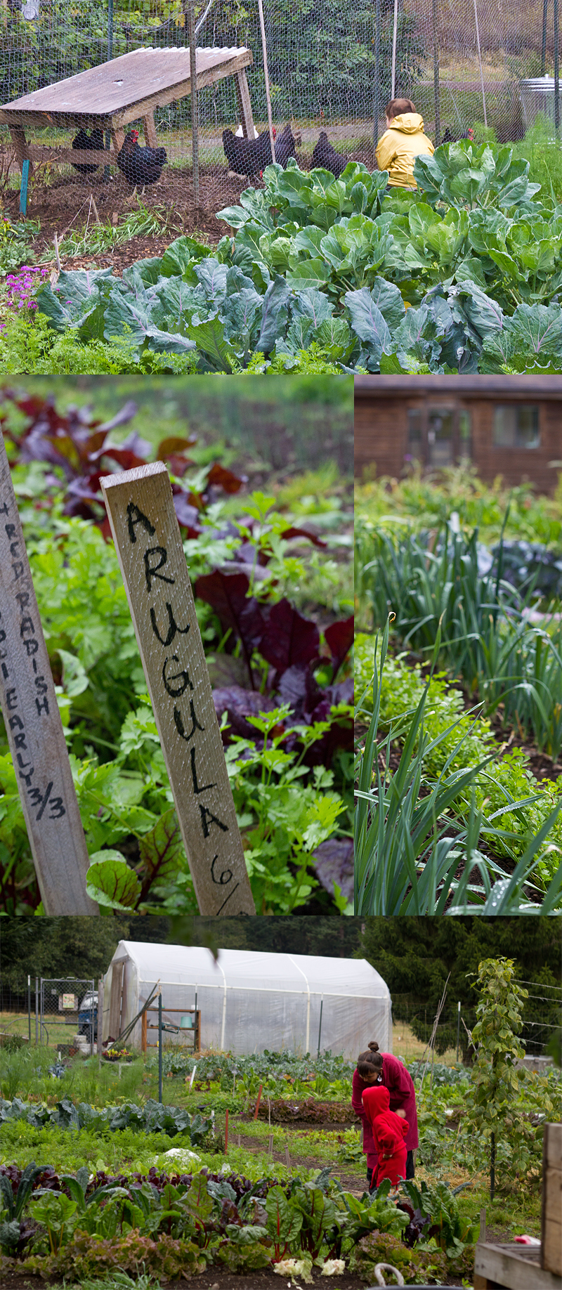 Doe Bay Garden, Orcas Island