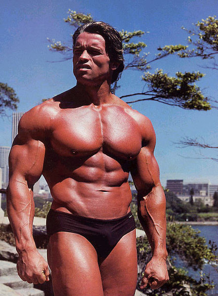 Arnold_Schwarzenegger_Body_Building_Photos_2841_29.jpg